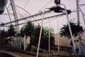 Rotating aerial system on opposite side to nutrient chamber.